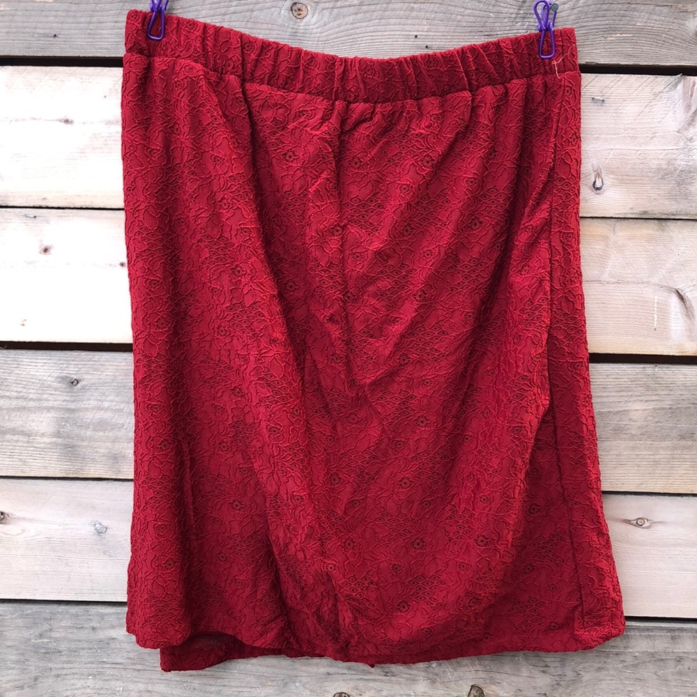 Briggs New York Lace Skirt